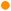 Burnt Orange dot