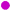 Purple Dot